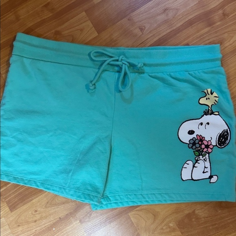 Womens (Juniors) Charlie Brown Green Peanuts‎ Snoopy Dog Teal Shorts XXL